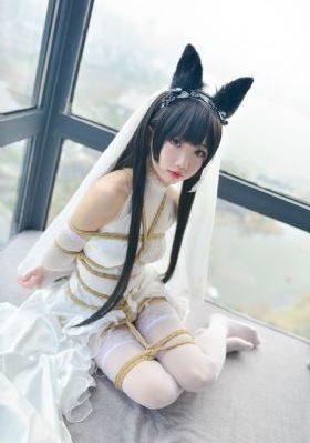 热带雨完整在线观看_4K在线观看电视